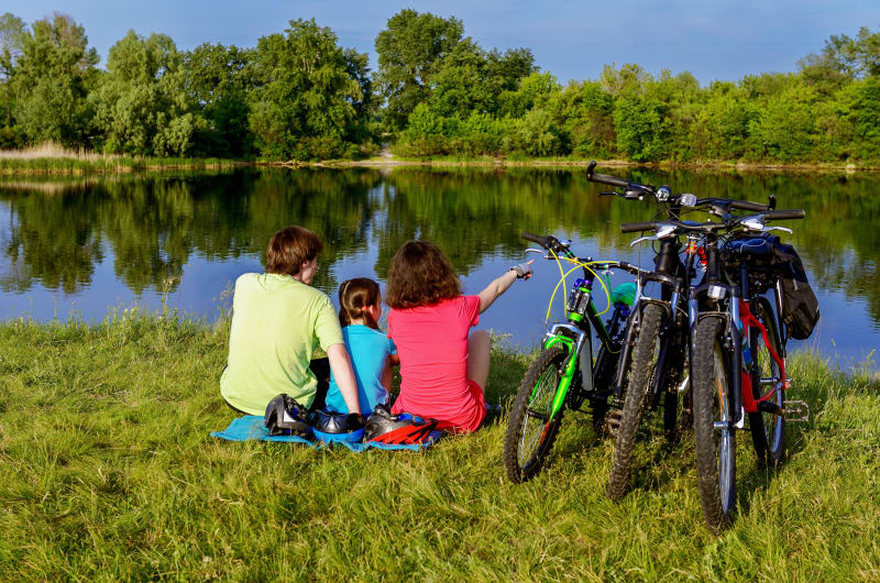 Tour des étangs en Argonne et virée en forêt de Belval - Givry-en-Argonne