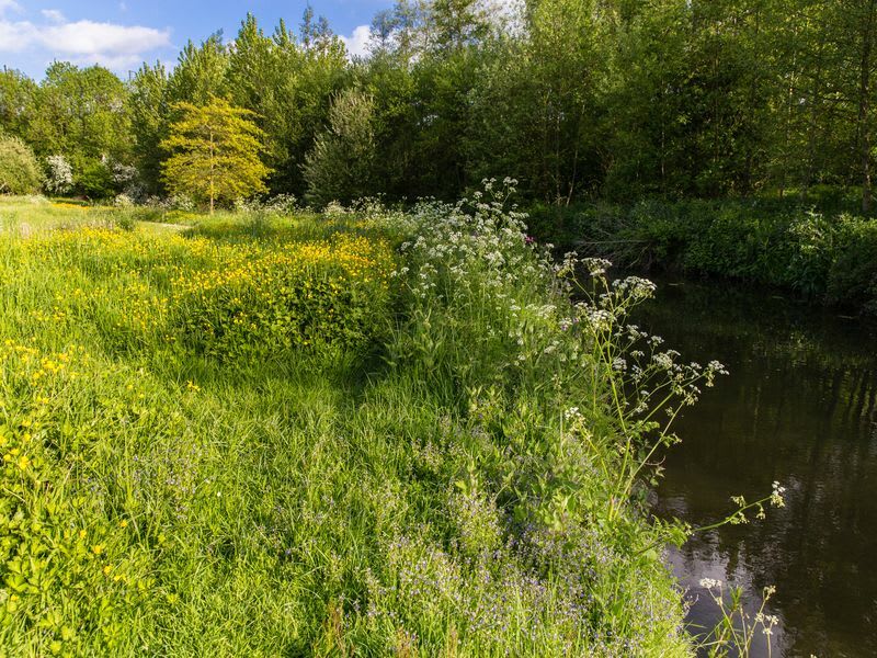 Sentier nature de la vallée de l'Aure - Bayeux