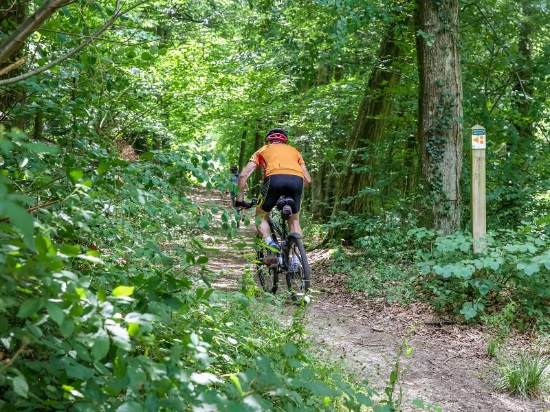 Les Terres de l'Abbaye à VTT - Jumièges