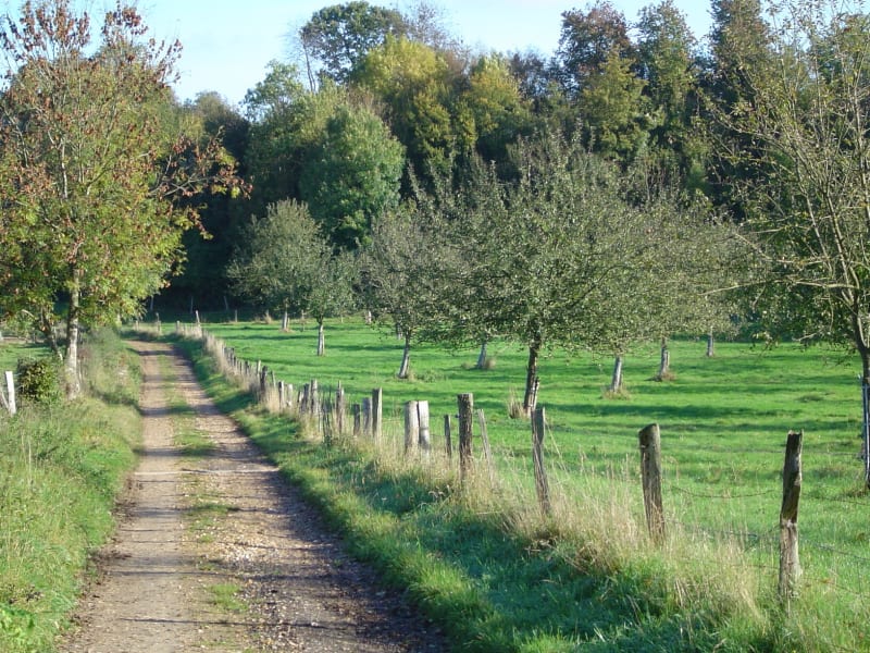 Le Chemin des Cressonnières - Saint-Germain-des-Essourts