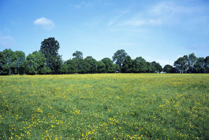Viessoix et escapade bucolique en Bocage virois - Valdallière (Viessoix)
