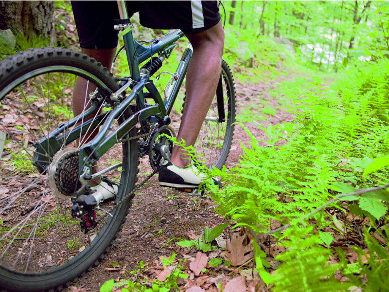 Mont Madame à VTT - Bazinval