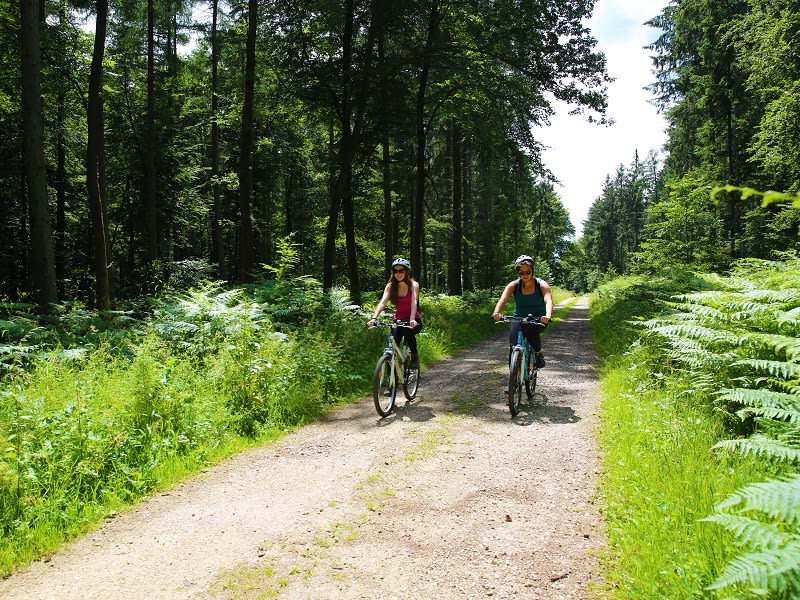 La Hêtraie à VTT - Montroty