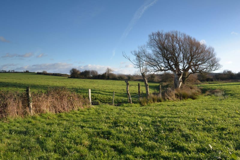 Vers le vieux Saint Pierre en Pays de Flers - Cerisy Belle Etoile