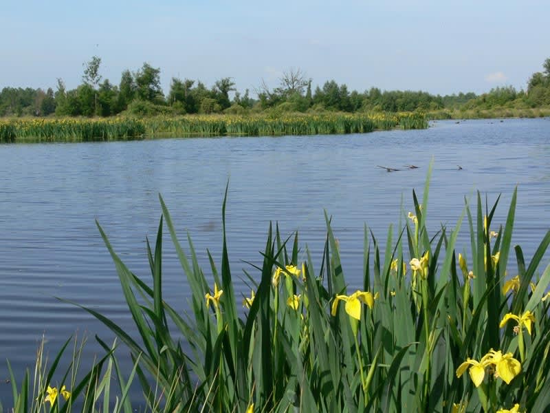 La campagne de Briouze à vélo - Briouze