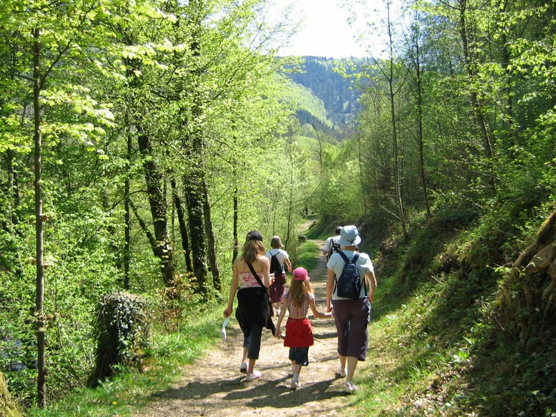 Le Val Godard - Maulévrier-Sainte-Gertrude
