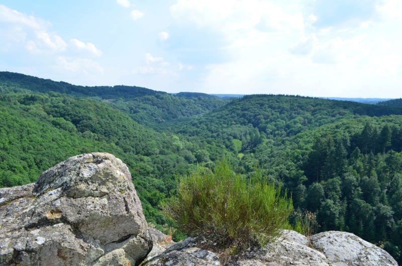 Autour de la Roche d'Oëtre à vélo - Saint-Philbert-sur-Orne