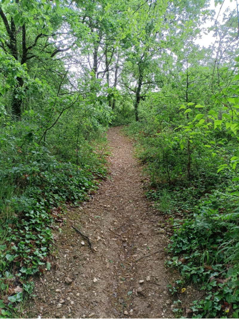 Eco-rando autour d'Albi et protéger notre belle Dame Nature - Le Sequestre