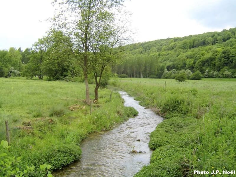 La Vallée de l'Héronchelles - Rebets