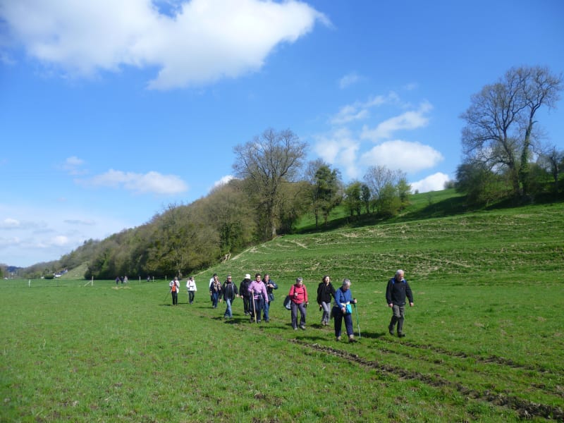 50 nuances de vert autour de Fresne-le-Plan - Fresne-le-Plan
