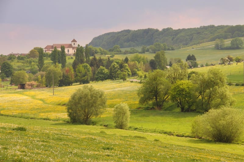 Il était une fois dans l'Ouest vosgien, entre deux rivières - Neufchâteau