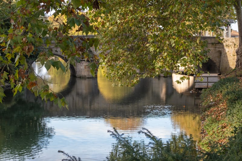 Rouler le long du canal Saint-Martin de la Champagne - Châlons-en-Champagne