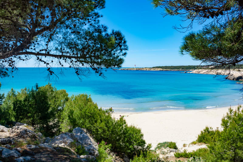 A fond les vallons : VTT sur les bords de l'Estaque - Saint-Julien-les-Martigues