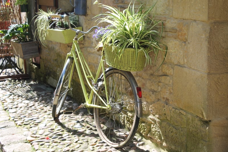Boucle champêtre et mise au vert à Saint-Antoine-de-Breuilh - Saint-Antoine-de-Breuilh