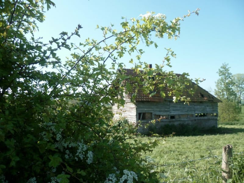 La Mare David - Mesnil-Raoul