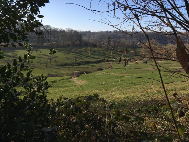 Sentier des orchidées - Boulleville