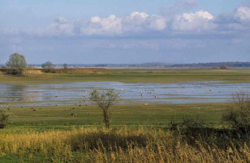 Presqu'île de Nemours et vadrouille cool dans les bois - Éclaron-Braucourt-Sainte-Livière