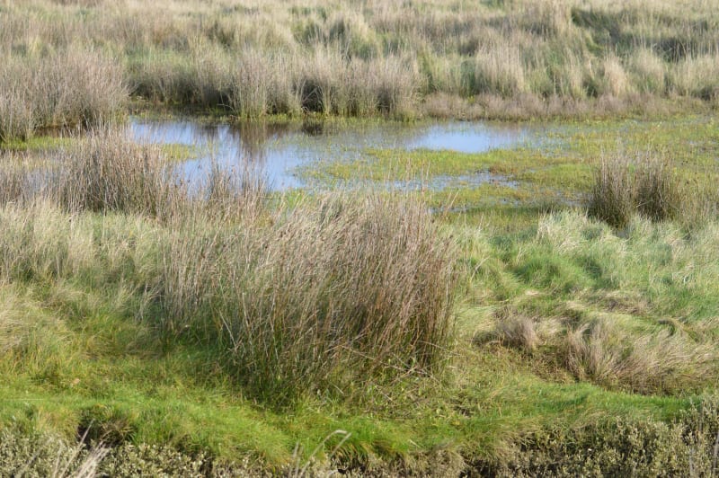 Prendre l'Aire à vélo le long du canal et dans les marais - Douvrin