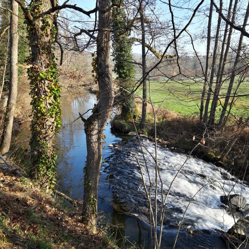 Le sentier des moulins et le calme de Saint-Denis-sur-Coise - Saint-Denis-sur-Coise