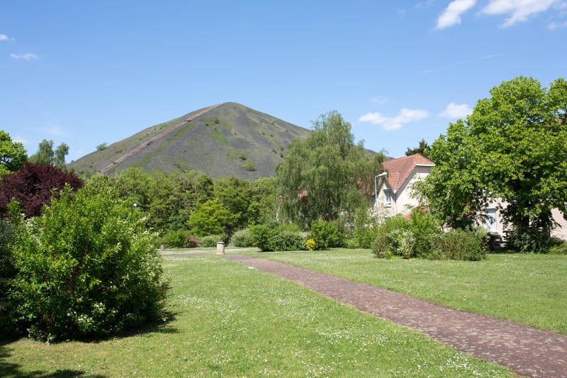 Excursion à VTT en Gohelle : monts noirs et Blanc Mont à cœur - Sains-en-Gohelle