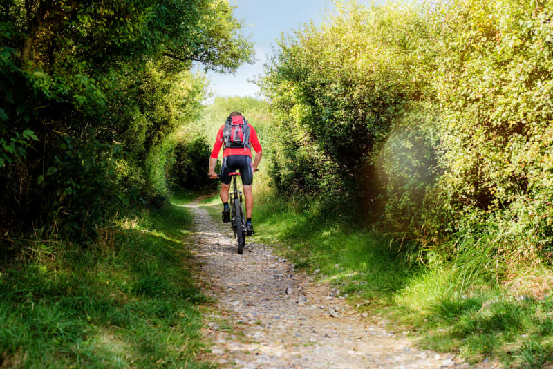 Balade tranquille à VTT autour de Pélissanne et de La Barben - Pélissanne