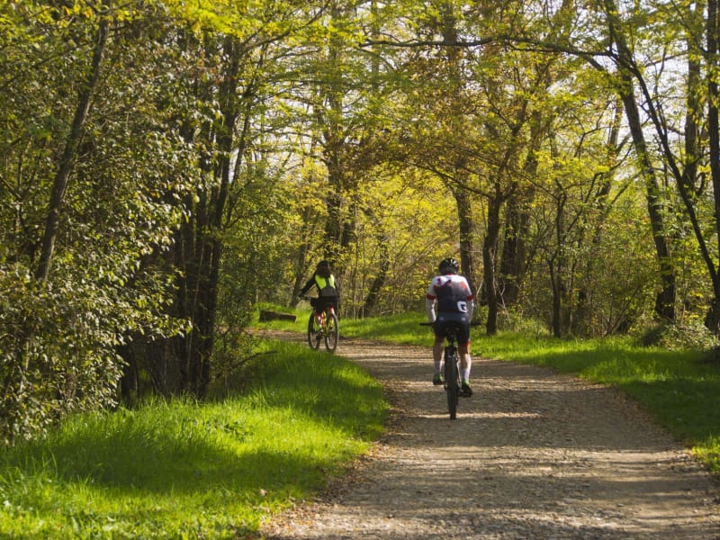 Créquy et sa balade bucolique dans les bois - Créquy