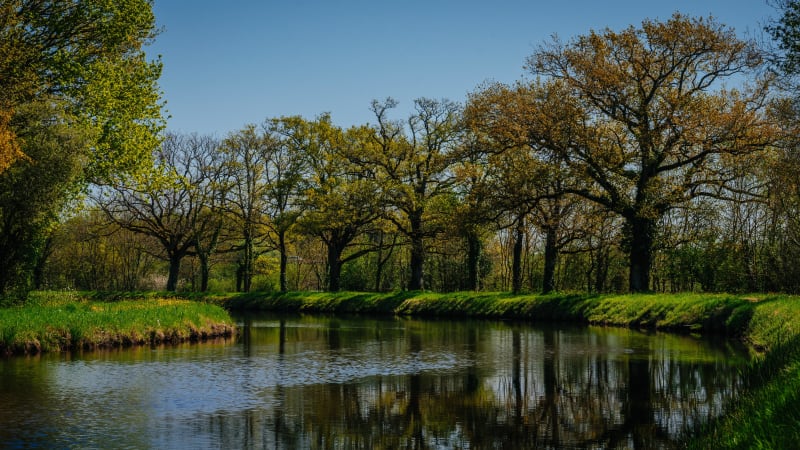 Balade au fil de l'eau, entre canal et Bout de Bois - Saffré
