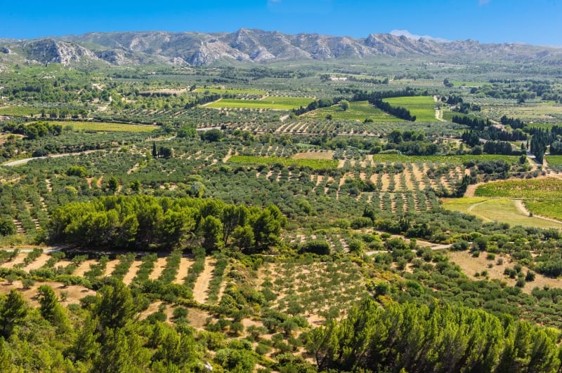 Virée à vélo dans les Alpilles via Saint-Rémy-de-Provence - Saint-Étienne-du-Grès