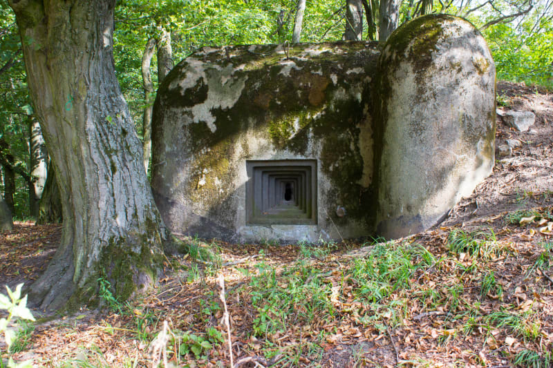 Tour de l'étang de Hoste et ligne Maginot sous l'eau - Barst