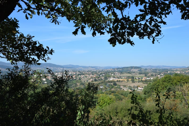 Entre prairies et vignes des Coteaux du Lyonnais - Fleurieux-sur-l'Arbresle