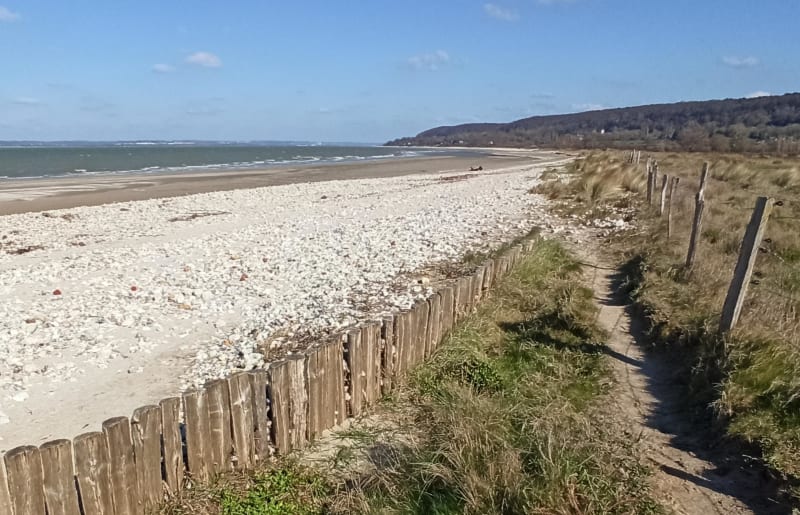 Het strand, een kwetsbaar toevluchtsoord - Cricquebœuf