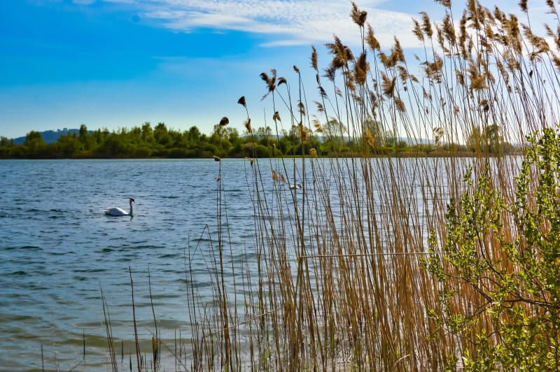 Tour du Lac de Madine : nature et loisirs à profusion - Nonsard-Lamarche