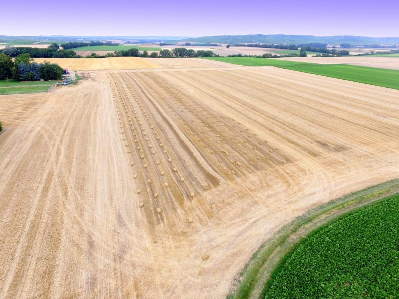 Petite boucle de Servigny et nature accueillante - Servigny-lès-Sainte-Barbe