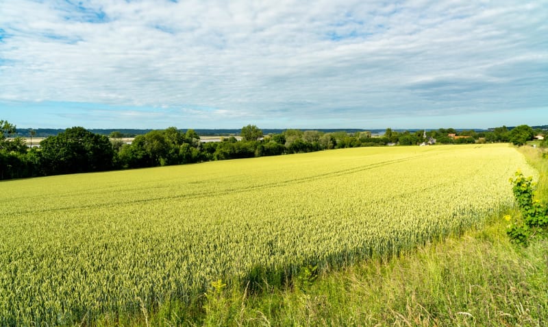 Sentier du Mont Courel - Berville-sur-Mer