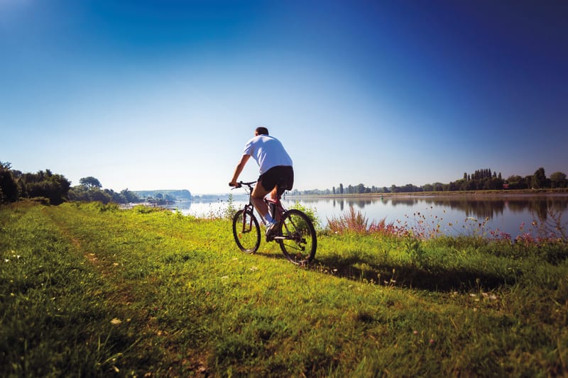 Boucle en forêt de Brotonne à VTT, depuis Vatteville-la-Rue - Vatteville-la-Rue