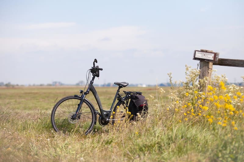 Rouler à VTT dans le camaïeu vert des champs de l'Artois - Quéant