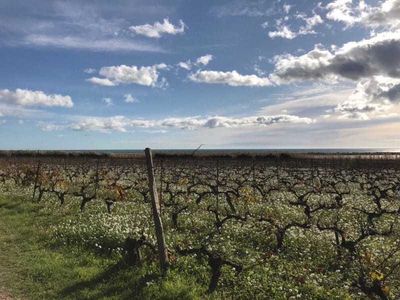 La grande motte - La Maguelone - La Grande-Motte