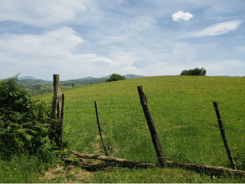 Sommet de La Rhune et nature verdoyante depuis Amotz - Amotz, Saint-Pée-sur-Nivelle