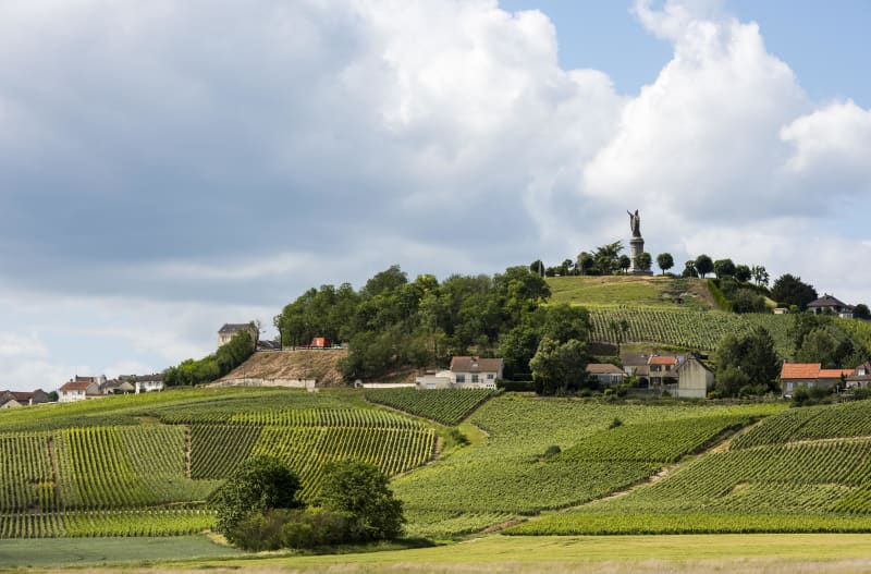 Boucle champêtre à vélo depuis Châtillon-sur-Marne - Châtillon-sur-Marne
