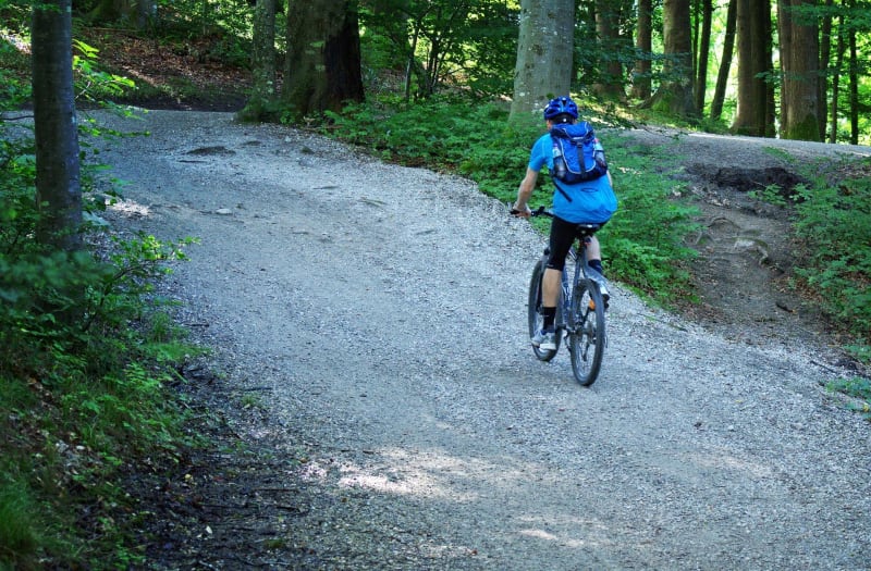 Echappée VTT au cœur de la forêt de Saint-Mars-la-Jaille - Vallons-de-L'Erdre