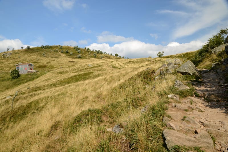 Pelouses calcaires de la Côte de Delme - Liocourt