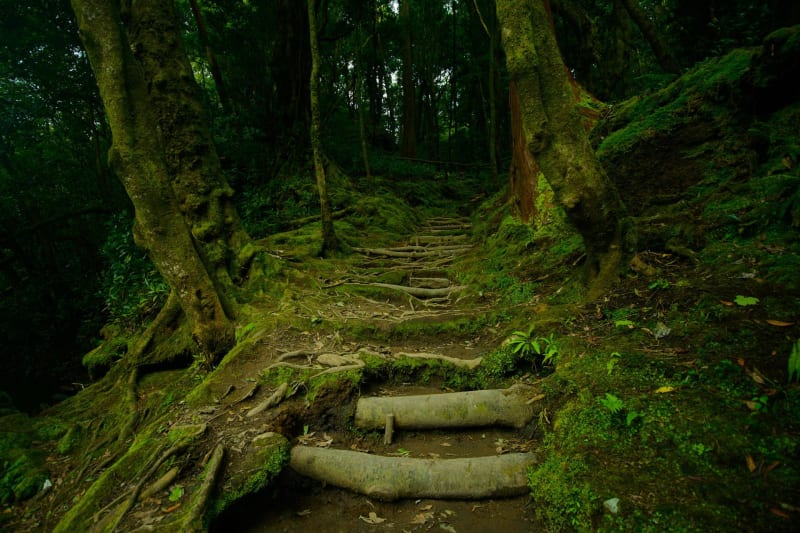 Entonnoirs de la Haute Chevauchée et traces du passé - Lachalade
