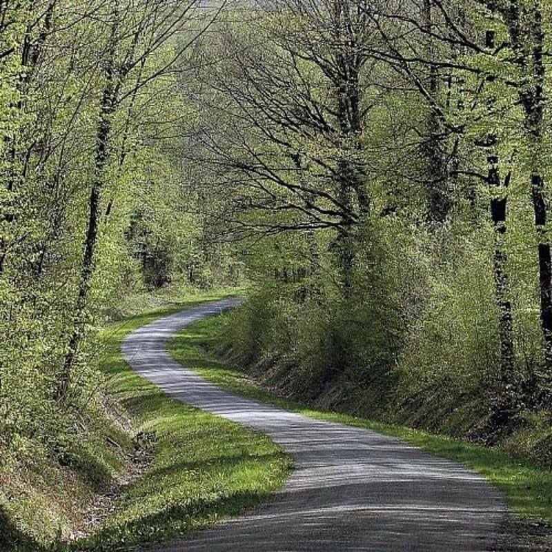 A vélo, en Argonne, pays de l'Arbre Roi - Clermont-en-Argonne