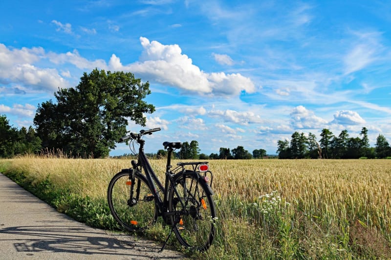 VTT autour de Saint-André-des-Eaux et charme de la Brière - Saint-André-des-Eaux