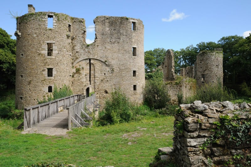 Château de Ranrouët et marais de Brière à vélo - Herbignac