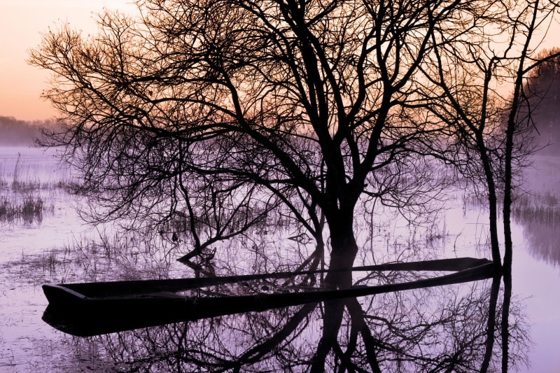 Boucle à vélo des marais de Goulaine - Basse-Goulaine