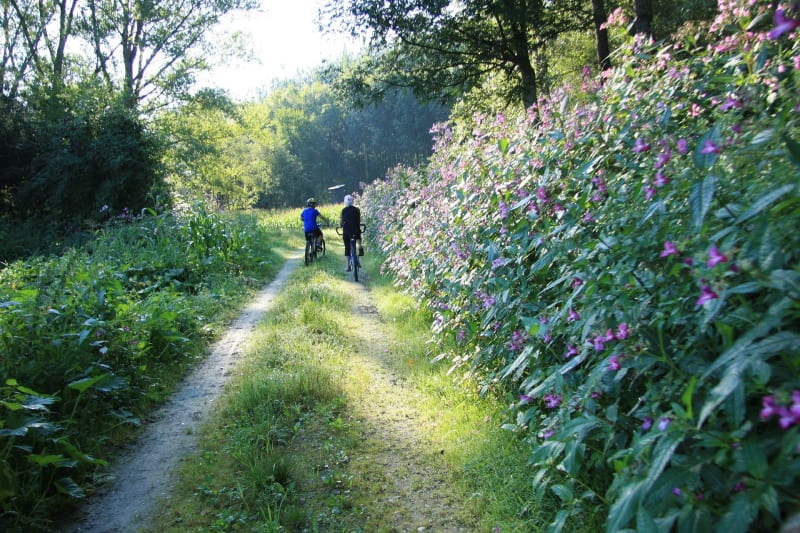 Échappée depuis Bouaye et le long de l'Acheneau - Bouaye