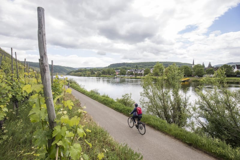 Harprich et la découverte de la Moselle naturelle à vélo - Harprich
