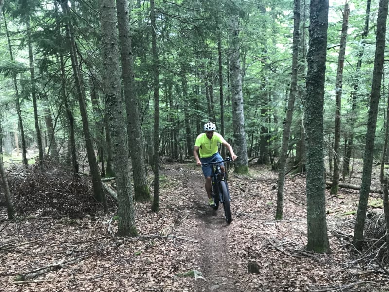 VTT : un Saint-Amour de Jurassique parcours - Saint-Amour
