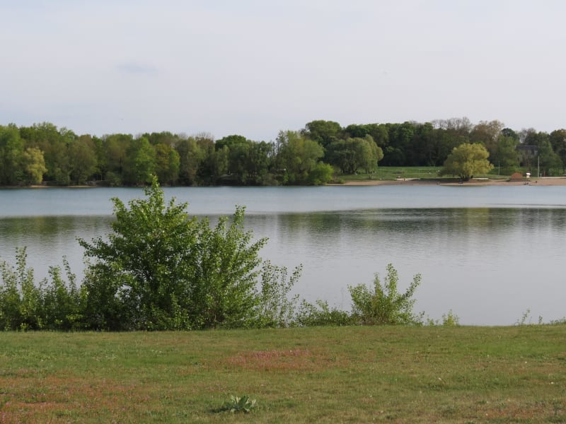 Balade dans le Bois de l'île et ses étangs - Saint-Denis-en-Val